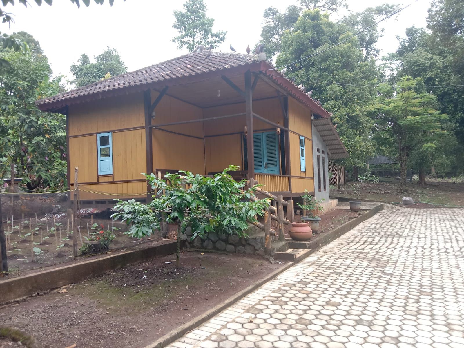 Homestay